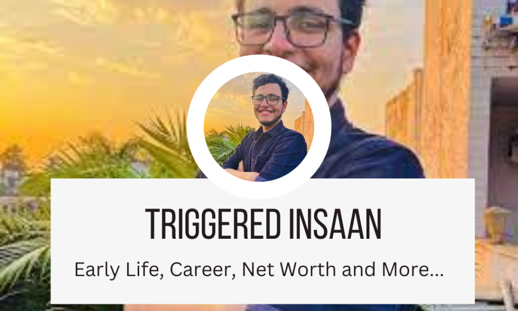 triggered Insaan net worth