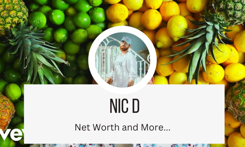 Nic D Net Worth