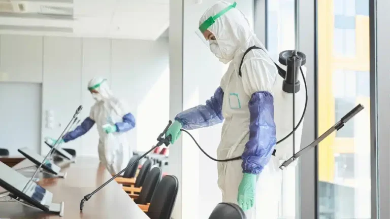 Don’t Let Odors Take Over: How Odor Removal Services Can Improve Your Quality of Life