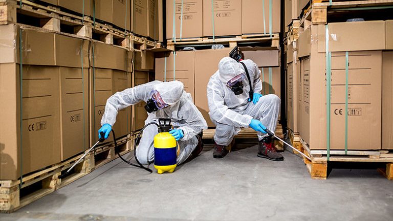 Effective Techniques for Commercial Pest Management