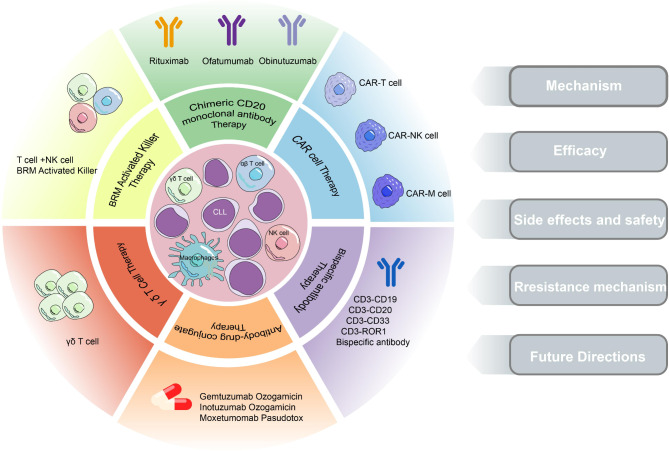 The Role of Medical Innovation in Improving Treatment for CLL